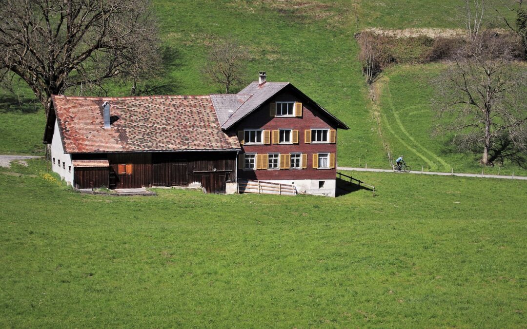 Astuces simples pour une maison plus verte et plus respectueuse de l’environnement